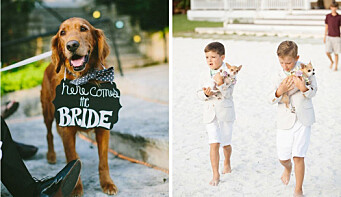 Fem söta sätt att inkludera er hund i bröllopet